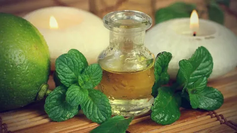 تصویر 2 از قیمت خرید عرق نعنا خوب + فروش ویژه